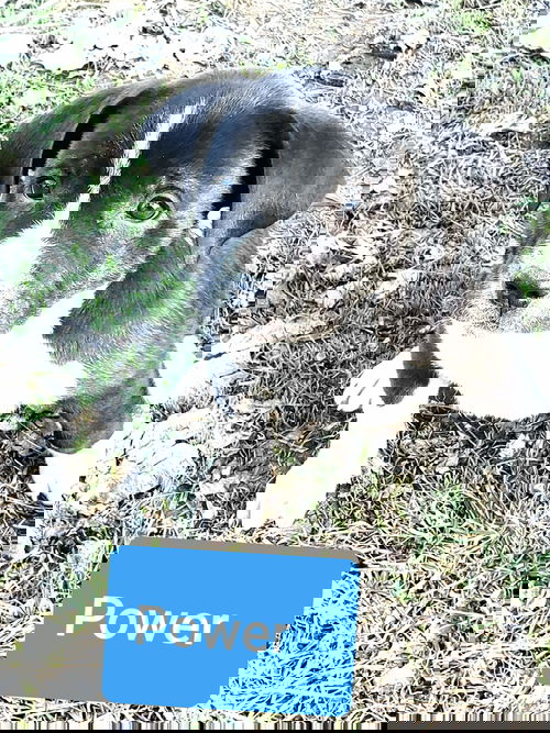 Power