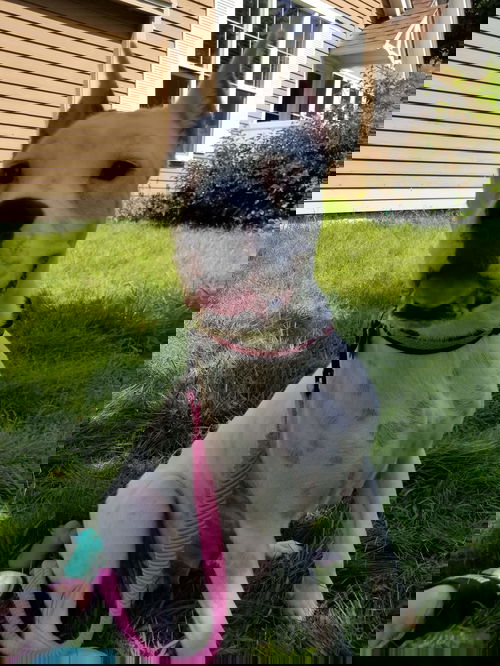 Zoe