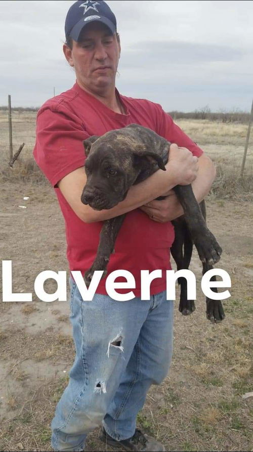 Laverne