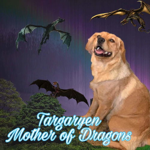 Targaryen