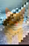 Karl