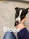 Blaze