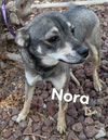 Nora