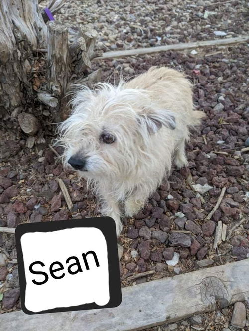 Sean