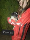 Windy