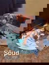 Spud