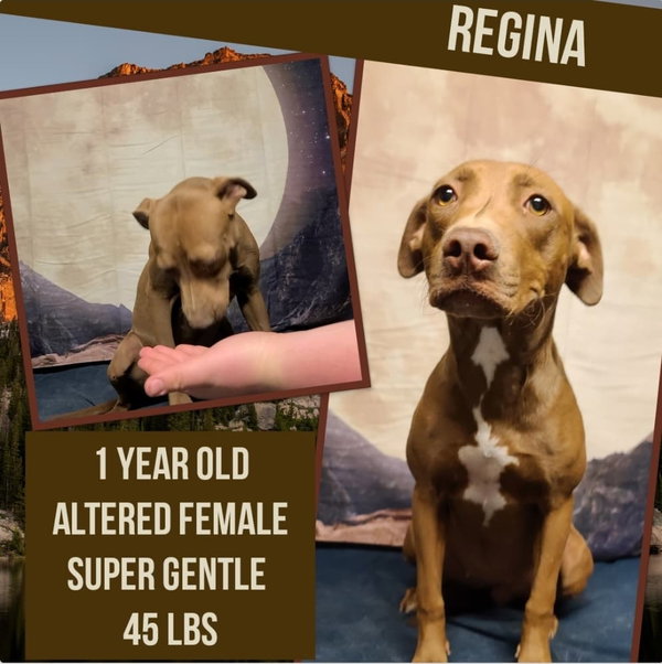 Regina