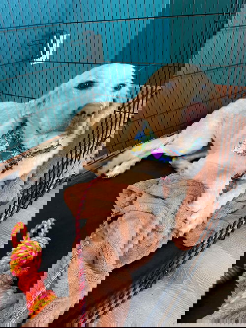 January