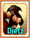 Dietz