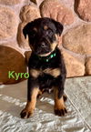 Kyro