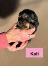 Kati