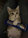 Almond Joy