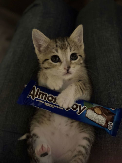 Almond Joy
