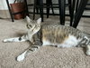Almond Joy - Photo 1
