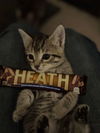 Heath