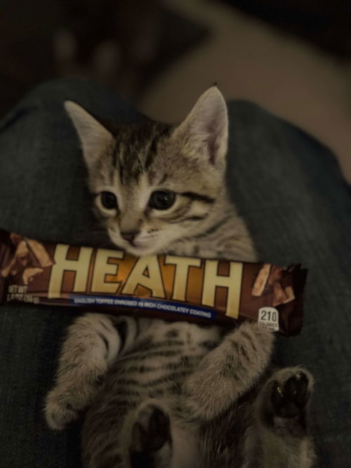 Heath