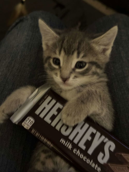 Hershey