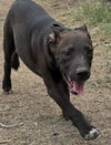 Dutton - Photo 9