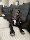 Dutton - Photo 3