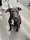 Dutton - Photo 21