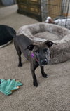Kayce - Photo 4