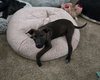 Kayce - Photo 8