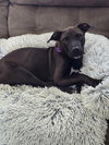 Kayce - Photo 3