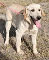 Nimbus - Photo 4