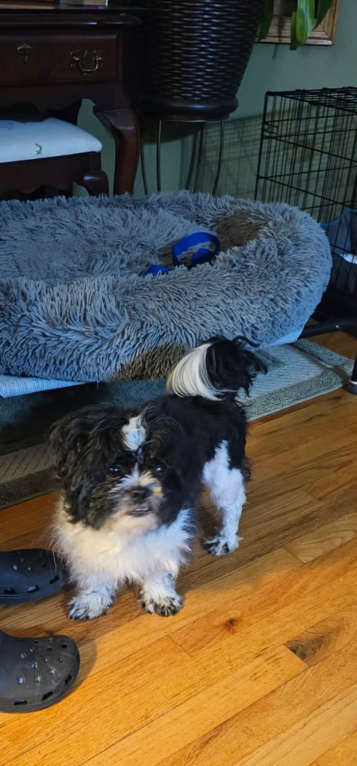 Cosmo