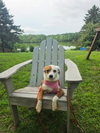 Rosemary Mae