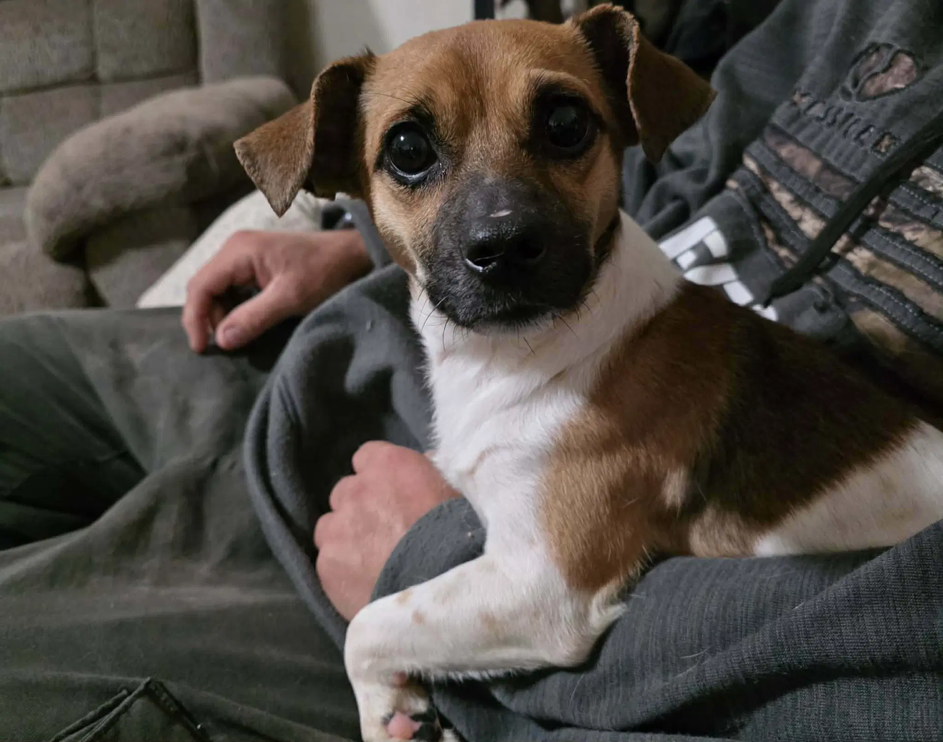 Ojitos - Chihuahua