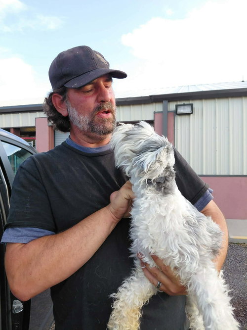Levi Strauss, an adoptable dog