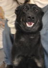 Rosie