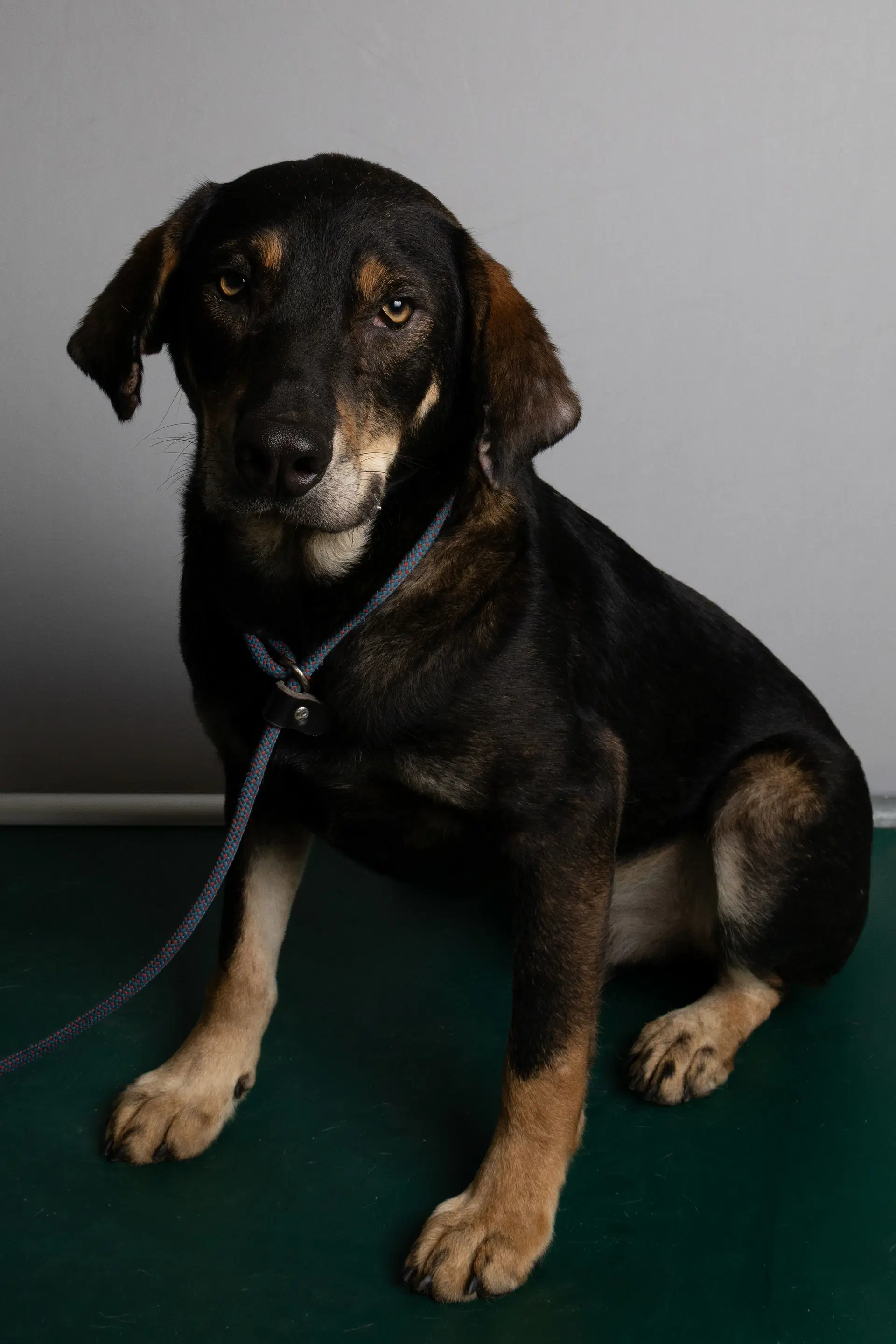 Nick image 4
