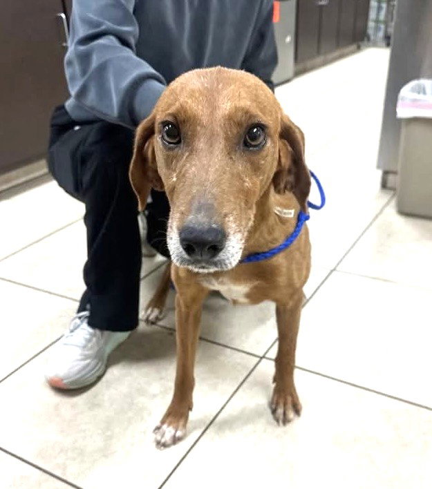 SadieJM in MS MEDICAL HOLD