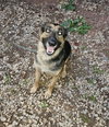 Sweetie - Photo 2