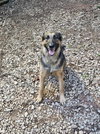 Sweetie - Photo 3