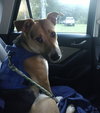 Sandy - Photo 3