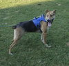 Sandy - Photo 4