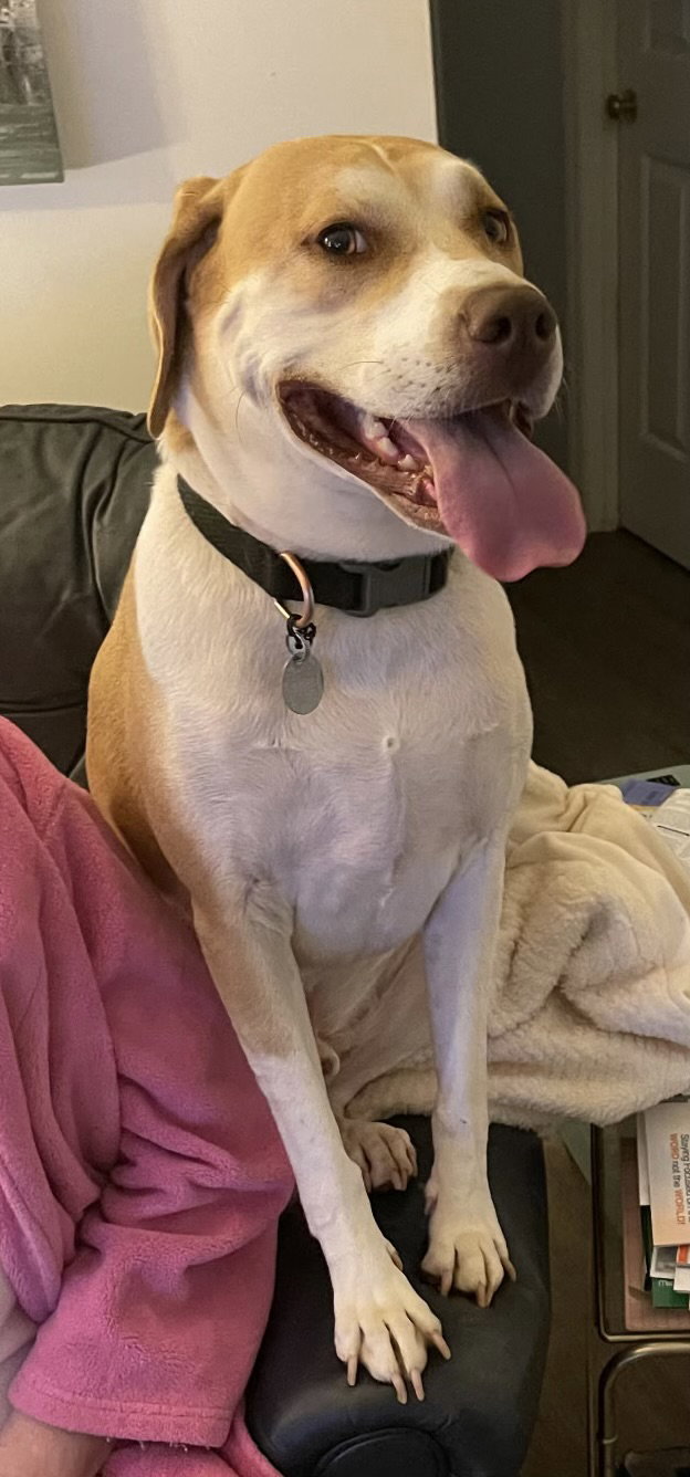 Milo