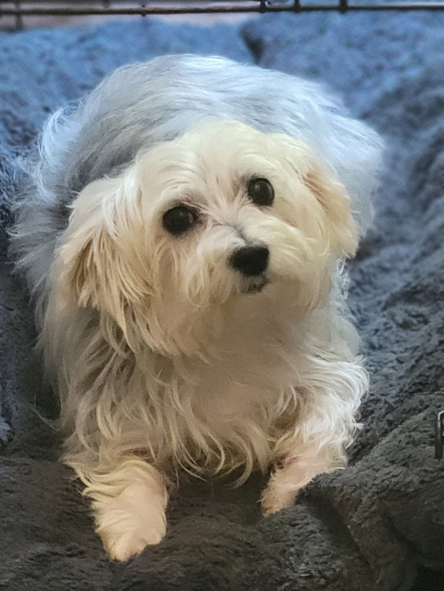 Rosie