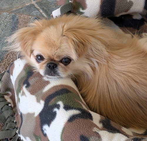Marley
