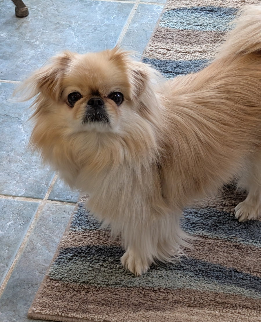 Marley