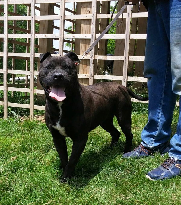 ONYX