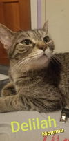 Delilah