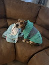 Rylee