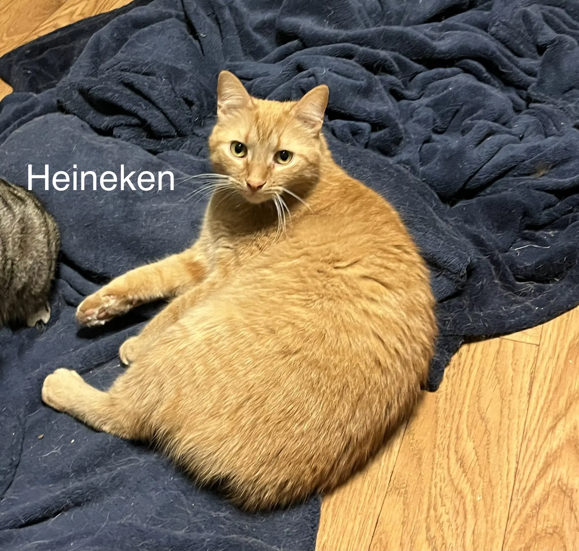 Heineken - Ak image 3