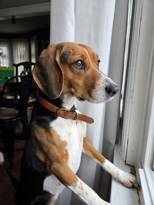 Molly Mae