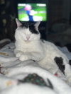 Frankie - Photo 5
