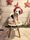 Taffy BH